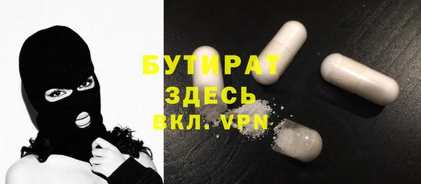 мдпв Инсар