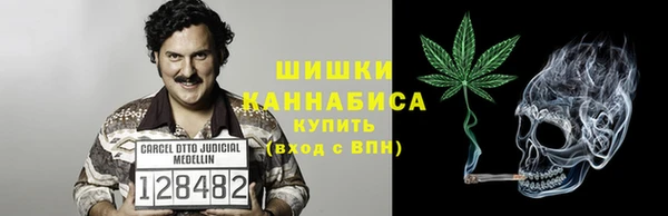 молекула духа Заволжье