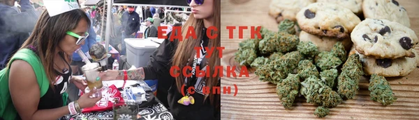 винт Дмитриев